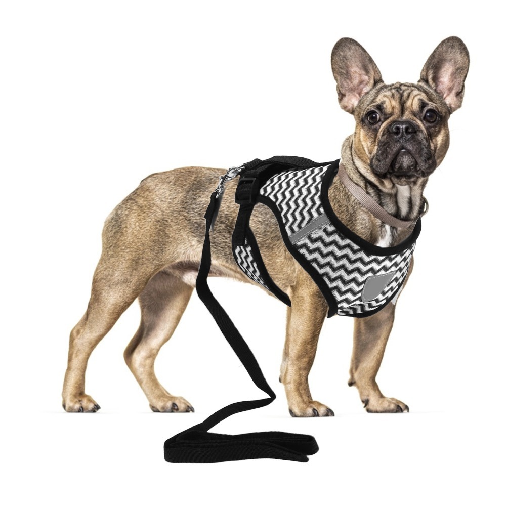 Mesh Fabric Pet Harness Set I- - Fabric Weight Set 评论和价格